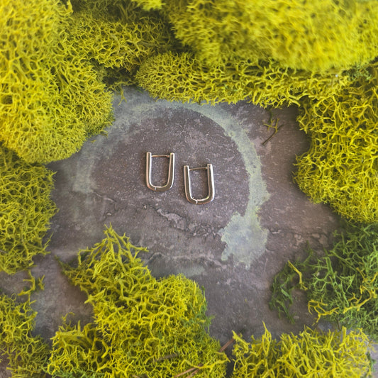 CryoLink Rectangular Hoop Earrings