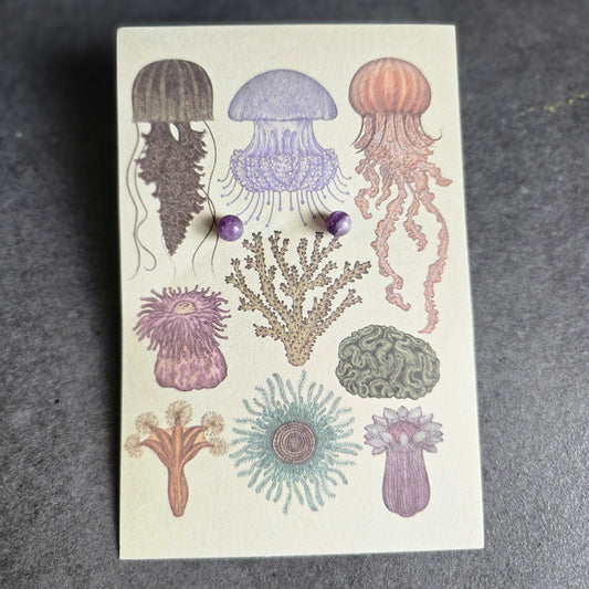 Amethyst - Juno Studs