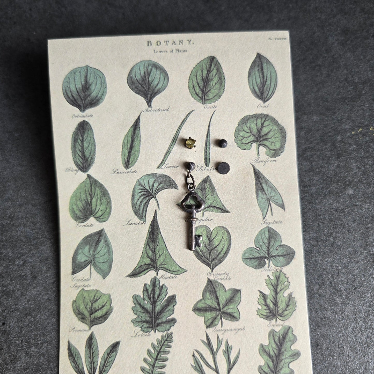 Haunted Greenhouse Earring Set