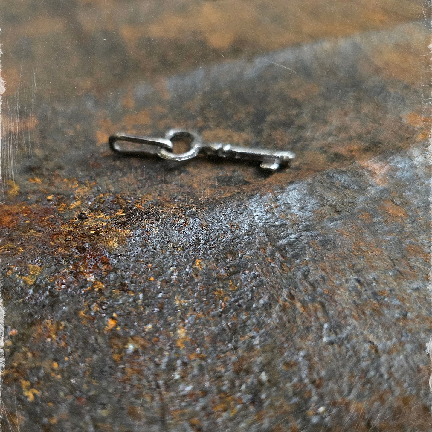 Janus Skeleton Key Talisman Charm