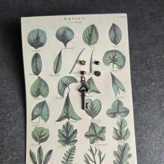 Haunted Greenhouse Earring Set