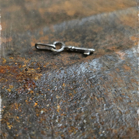 Janus Skeleton Key Talisman Charm 